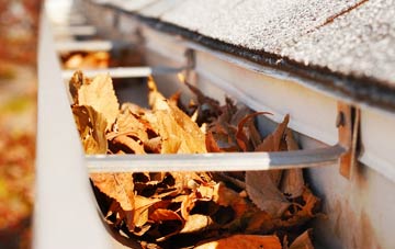 Pinehurst gutter cleaning companies